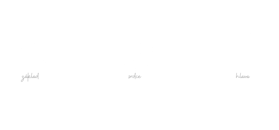 ostara - velvet peony